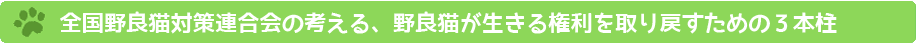 野良猫が生きる権利を取り戻すための3本柱